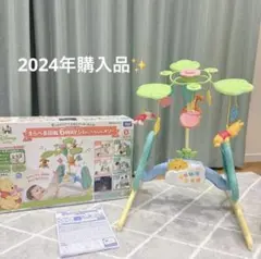 プーメリー ベビージム