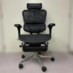 エルゴヒューマンプロ2