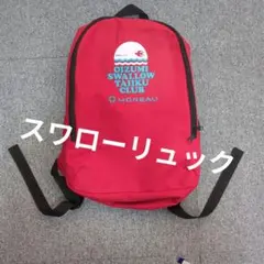 大泉スワローリュック