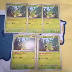 ナエトル　００３／０７１c　ノーマル５枚　ポケモンカードのサムネイル