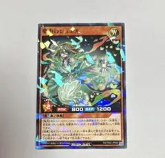 遊戯王　夢中のシュエル