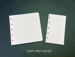 Item thumbnail for item 7f78b299-ed05-4c0f-a8ff-42ffb8d43cca