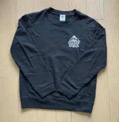 Item thumbnail for item 899cd157-013b-4eb6-bb20-043e34c5b023