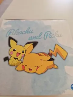 新品・未開封　ポケットモンスター　くつろぎタイム　ピカチュウ&ピチュー