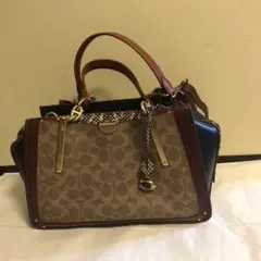 極美品✨ COACH ビート 4593 ショルダーバッグ ハンドバッグ パイソン 