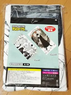 Item thumbnail for item 26251517-1610-4447-a03e-757c8143e95f