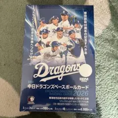 非売品】カルビー がんばれ！中日ドラゴンズチップス カードセット