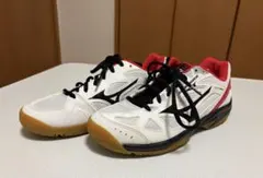 MIZUNO SKY BLASTER 室内用シューズ 25cm 【新品未使用品】のサムネイル