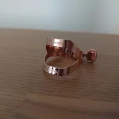 Item thumbnail for item 625f639d-f03d-4374-83bb-735940872a7a