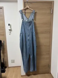 古着　オーバーオール　極太