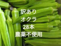 新鮮 オクラ 採れたて 野菜　28本のサムネイル