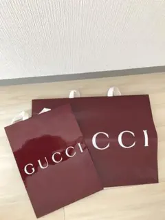 GUCCI ショップ袋 大小セット
