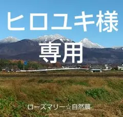 ヒロユキ様 リクエスト 4点 まとめ商品