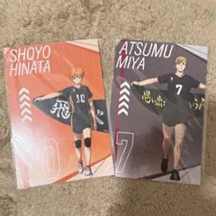 ハイキュー!! 特典 ポストカード 宮侑 日向