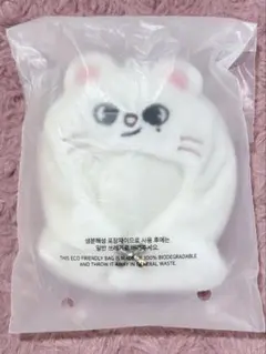 StrayKids☆skzoo 10CM PLUSH OUTFIT ジニレット