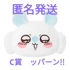 ちいかわモモンガだらけくじ [ おかおクッション] C賞ッパーン！！