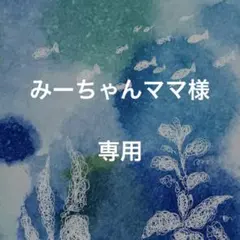 みーちゃんママ様　専用