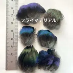 Item thumbnail for item 84fda794-72d0-43f3-baba-58cce2b30b7d