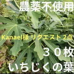 Kanael様 リクエスト 2点 まとめ商品