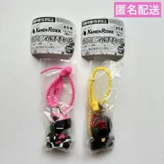 仮面ライダー　カラフルマルチチャーム　ガチャ　2個セット