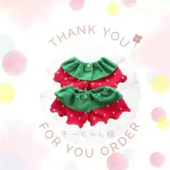 そーちゃん様⚘⚘⚘ いちごスタイ　Mサイズ2点
