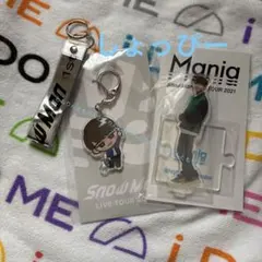 【SnowMan渡辺翔太】☆アクリルスタンド＆キーホルダー＆銀テストラップ☆