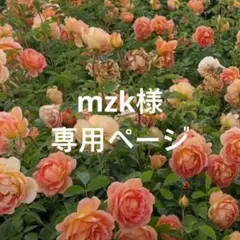 mzk様 リクエスト 3点 まとめ商品