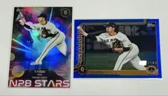 Item thumbnail for item b5683cae-e4dc-491f-a88d-d2f57011cdcf