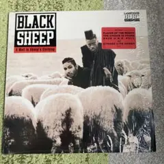 あきらさん様専用BLACK OUT「ブラックアウト」 LD-BOX1.2 見本盤