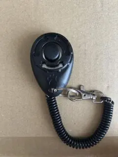 Item thumbnail for item 7d327533-763d-4c1a-836c-bdafbeb27275