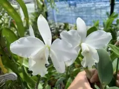 セカンドスト様 リクエスト 2点 まとめ商品