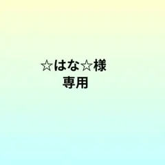 にんじん様オーダーページ にんじん様オーダーページ - メルカリ