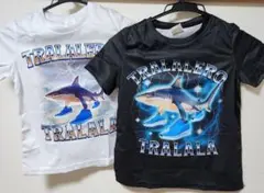 新品　トララレロトラララ Tシャツ　イタリアンブレインロット　120