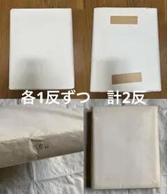 真作 江戸文政期 浮世絵師 柳川重信 作『河豚の美人と水母の共』摺物
