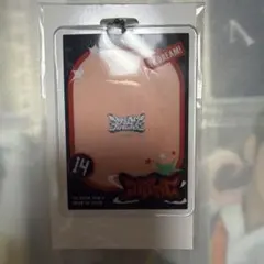 チソン アクリルキーホルダーケース ラントイ NCTDREAM