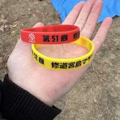 Item thumbnail for item 178cf517-afea-4c39-b3b8-6aae21e33949