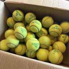 DUNLOP St.JAMES テニスボール 85 個　セントジェームス