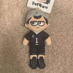 2025年最新】ハイキュープラザ ジロリ ぬいぐるみの人気アイテム