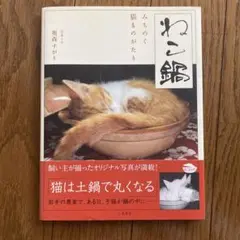 Item thumbnail for item b43ca4f5-28cd-4842-8c31-677fa6e4b5f7