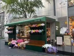 유연한 스타일 | 생각을 실현하는 변화하는 아키텍처