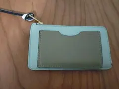 LOEWE ロエベ フラグメントケース コインカードホルダー★レアカラー