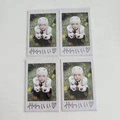 &team エンティーム チェキ風トレカ HARUA ハルア