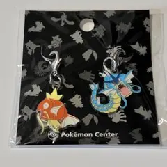 ✨【未使用】メガハガネール ハガネール メタルチャーム ポケモン ✨【最安値】 ポケモンセンター限定 メタルチャーム ハガネール メガハガネール