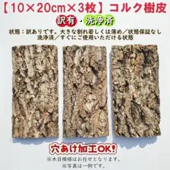 맡겨주세요 [3매/번역 포함/세척] 10 x 20cm 코르크 껍질 코르크 보드 버진 코르크