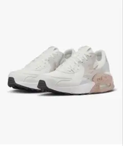 エア マックス エクシー W AIR MAX EXCEE CD5432-141