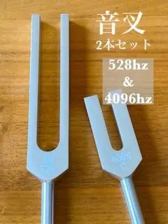 2025年最新】ソルフェジオ音叉の人気アイテム - メルカリ 〈希少