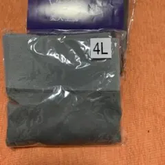 サニタリーショーツ 4l