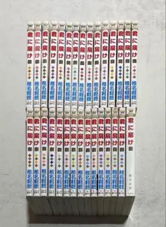 君に届け コミック 全巻 全30巻完結セット+おまけ付き！ 椎名軽穂 集英社