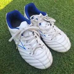 Item thumbnail for item 391c2628-70c5-4374-b831-3b7315bd8491