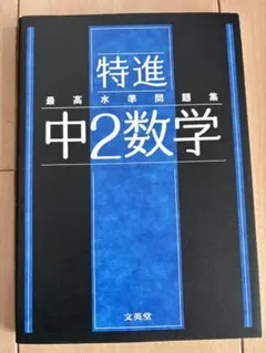 メガヤドン様 リクエスト 3点 まとめ商品